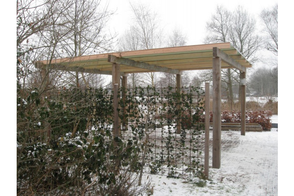 carport lariks hout vrijstaand 1 1